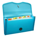 Solo Expanding Cheque Case – Elastic Closure, 12 Section (EX701), Pack of 2